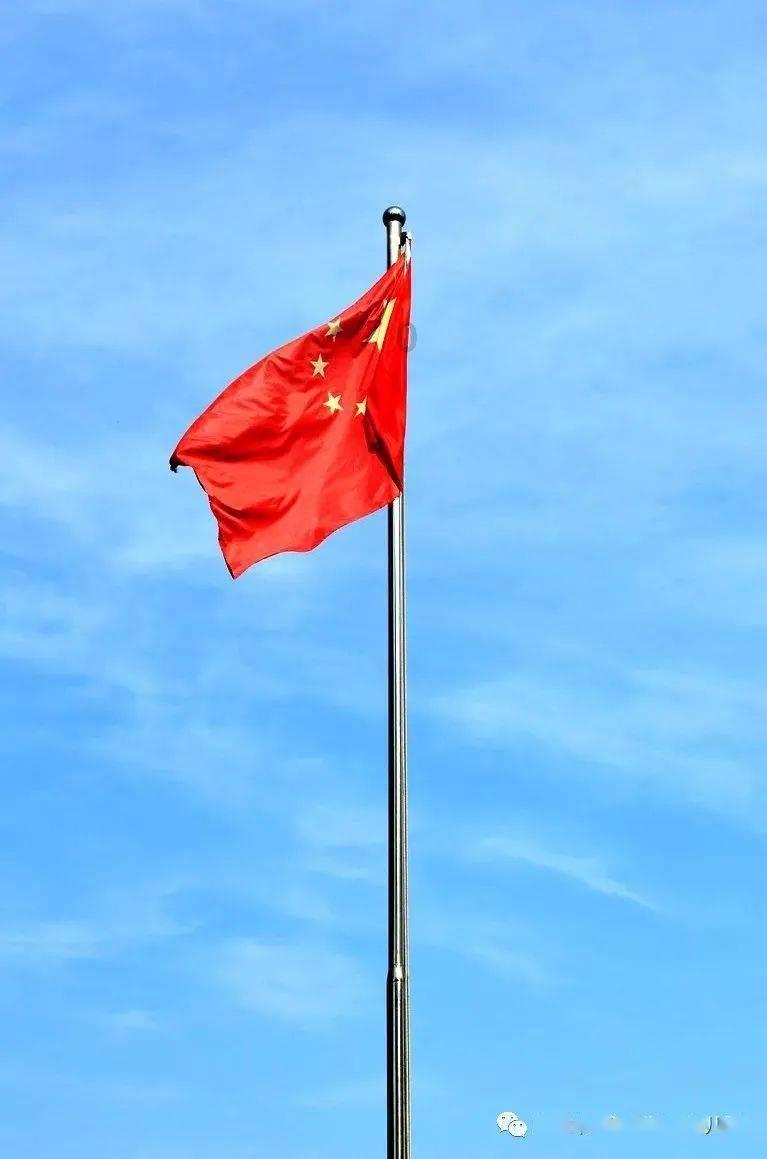 破碎的动物图形2